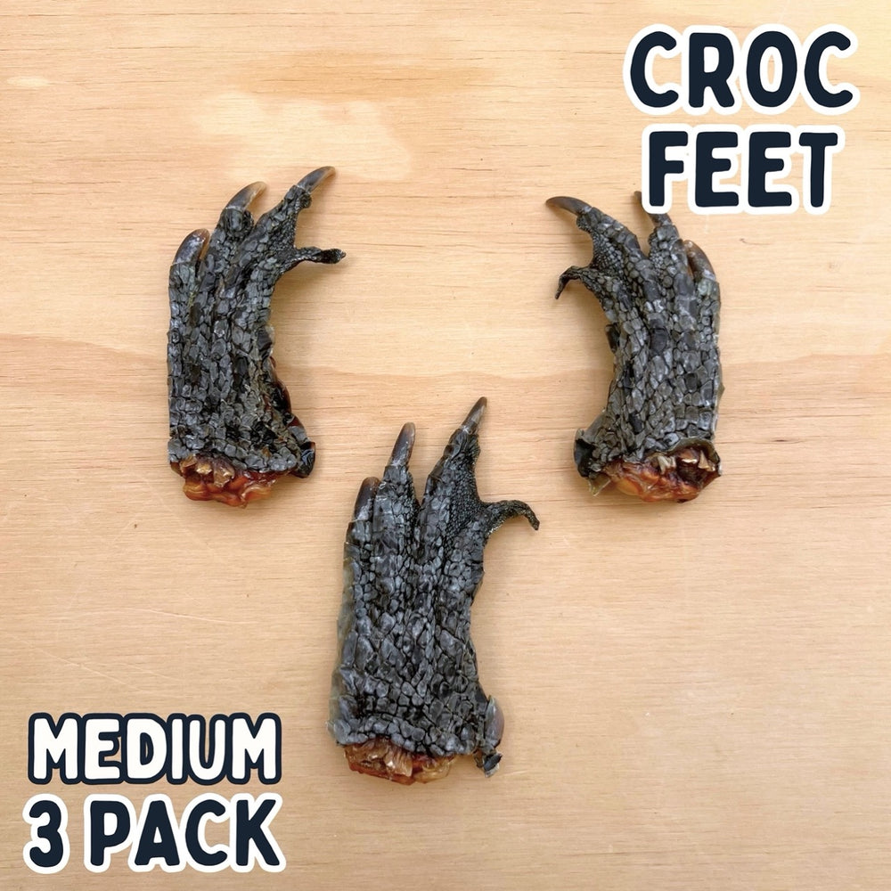 
                  
                    Crocodile Feet for Dogs | Dog Treat Chew | Croc Feet
                  
                