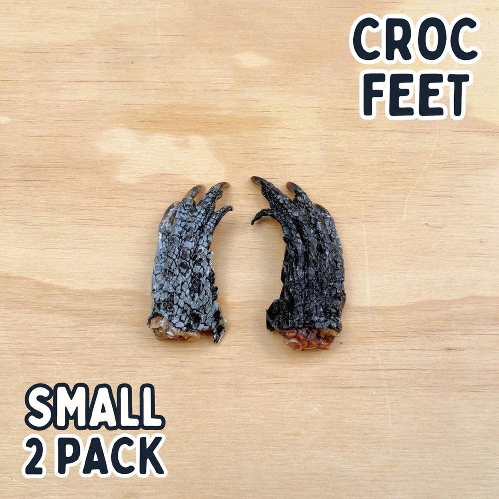 
                  
                    Crocodile Feet for Dogs | Dog Treat Chew | Croc Feet
                  
                