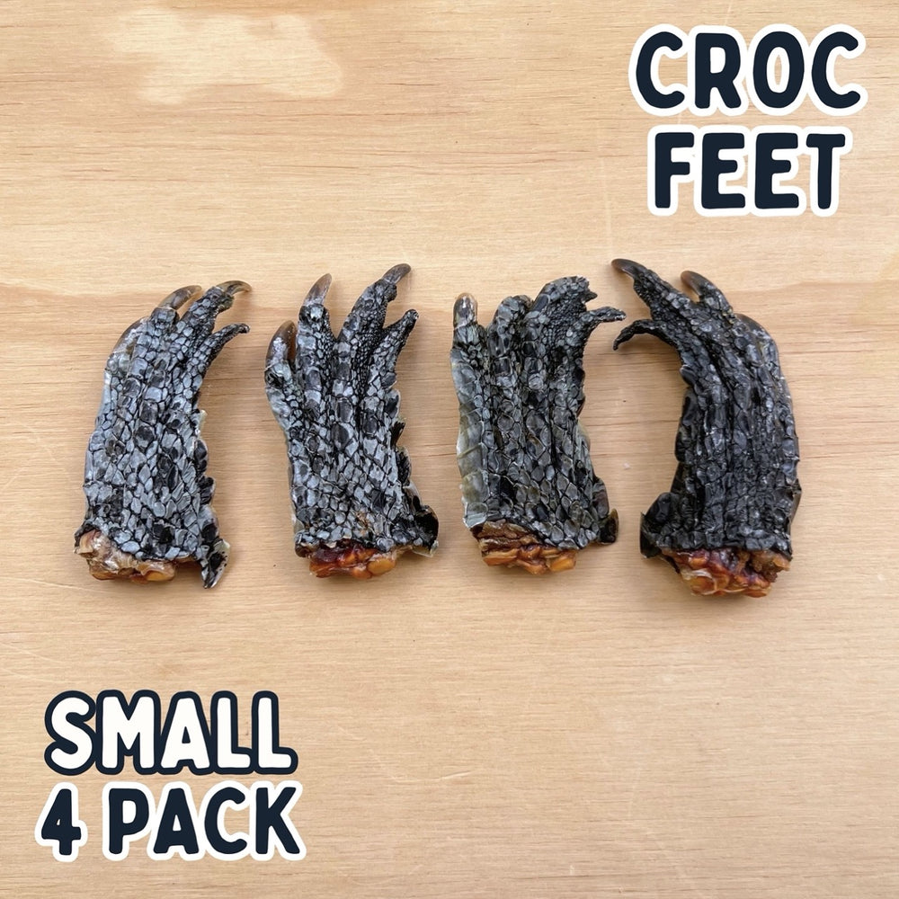 
                  
                    Crocodile Feet for Dogs | Dog Treat Chew | Croc Feet
                  
                