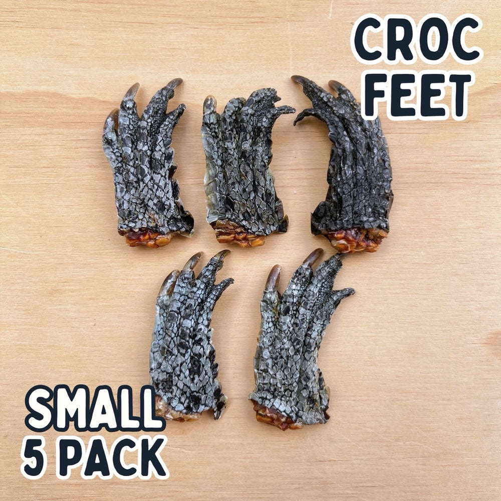 
                  
                    Crocodile Feet for Dogs | Dog Treat Chew | Croc Feet
                  
                