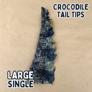 
                  
                    Crocodile Tail Tip For Dogs | Dog Treat Chew
                  
                