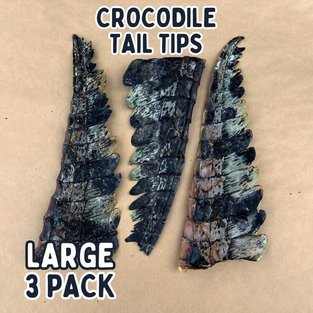 
                  
                    Crocodile Tail Tip For Dogs | Dog Treat Chew
                  
                