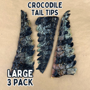 
                  
                    Crocodile Tail Tip For Dogs | Dog Treat Chew
                  
                