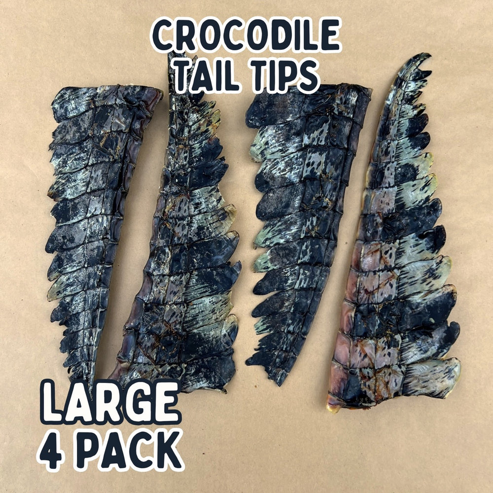 
                  
                    Crocodile Tail Tip For Dogs | Dog Treat Chew
                  
                