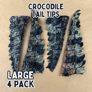 
                  
                    Crocodile Tail Tip For Dogs | Dog Treat Chew
                  
                