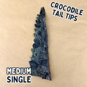 
                  
                    Crocodile Tail Tip For Dogs | Dog Treat Chew
                  
                