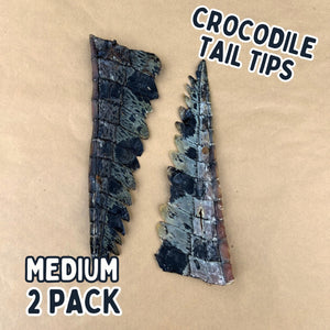 
                  
                    Crocodile Tail Tip For Dogs | Dog Treat Chew
                  
                