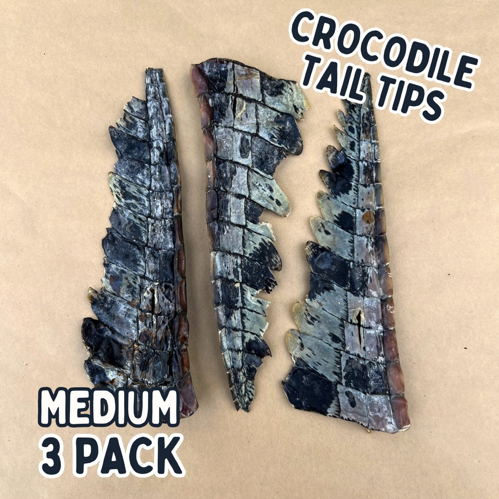 
                  
                    Crocodile Tail Tip For Dogs | Dog Treat Chew
                  
                