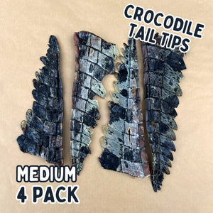 
                  
                    Crocodile Tail Tip For Dogs | Dog Treat Chew
                  
                