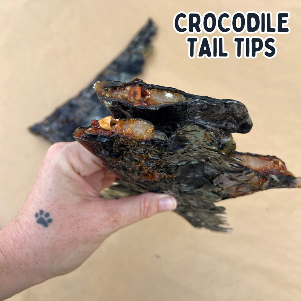 
                  
                    Crocodile Tail Tip For Dogs | Dog Treat Chew
                  
                