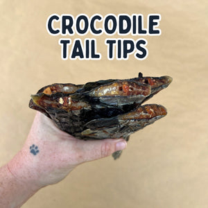 
                  
                    Crocodile Tail Tip For Dogs | Dog Treat Chew
                  
                