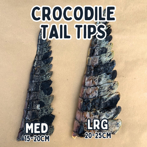 Crocodile Tail Tip For Dogs | Dog Treat Chew