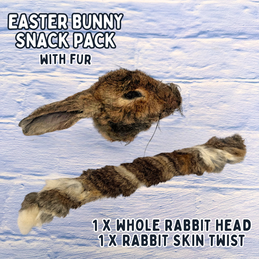 Easter Bunny Snack Pack | Rabbit Skin Twist & Whole Rabbit Head | Dog