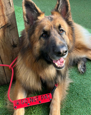 
                  
                    Double Sided Dog Leash Wrap / Dog Leash Sleeve / Lead Sleeve
                  
                