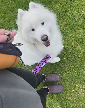 
                  
                    Double Sided Dog Leash Wrap / Dog Leash Sleeve / Lead Sleeve
                  
                