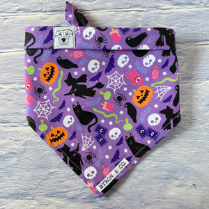 
                  
                    Spook Bandana
                  
                