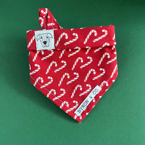 
                  
                    READY TO SHIP S/M Candy Cane Lane Bandana
                  
                