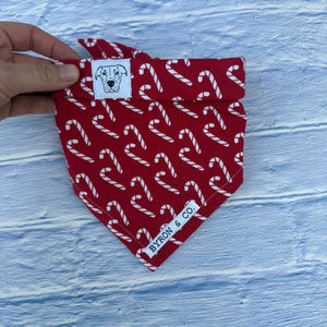 
                  
                    READY TO SHIP S/M Candy Cane Lane Bandana
                  
                