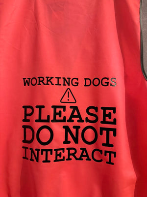
                  
                    Awareness Dog Training Custom Wording Vest | Hi Vis Vest | Human Dog Training Vest
                  
                