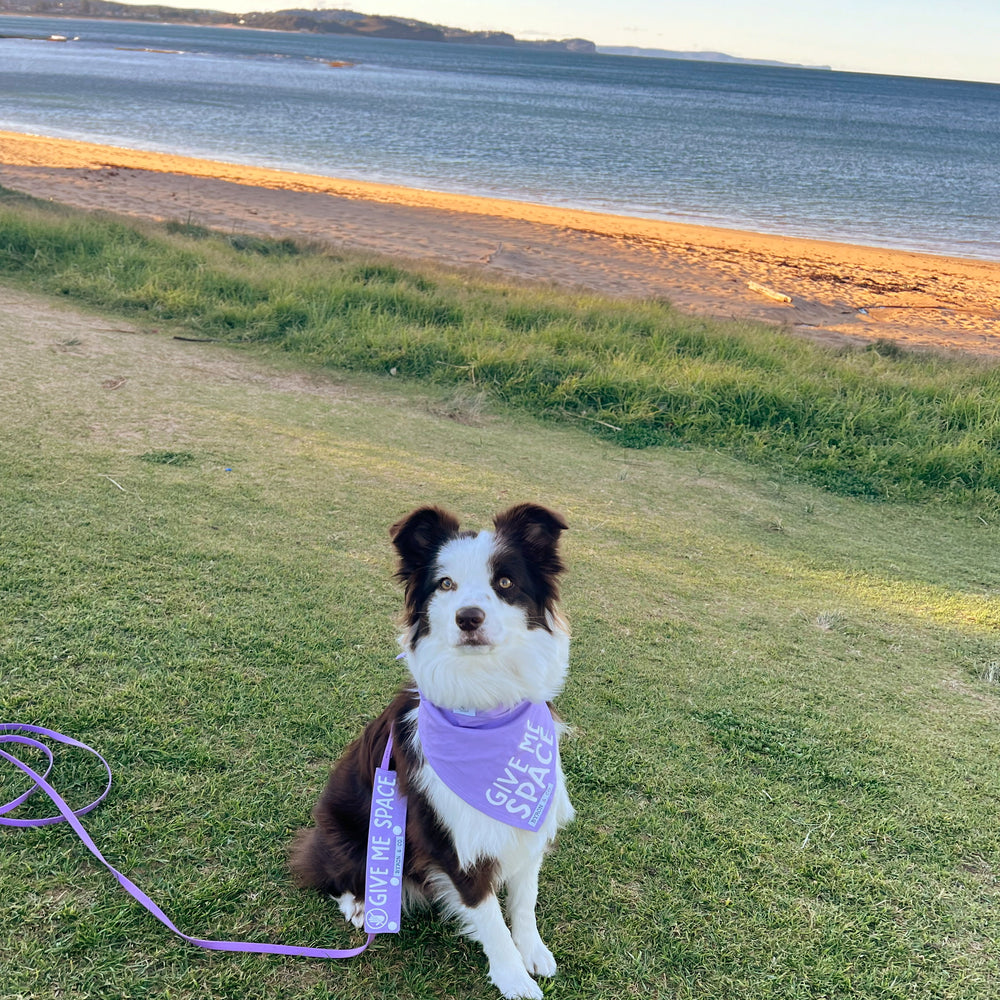 
                  
                    Lavender Bandana
                  
                