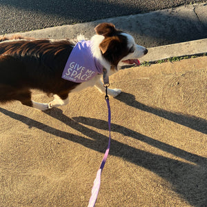 
                  
                    Lavender Bandana
                  
                