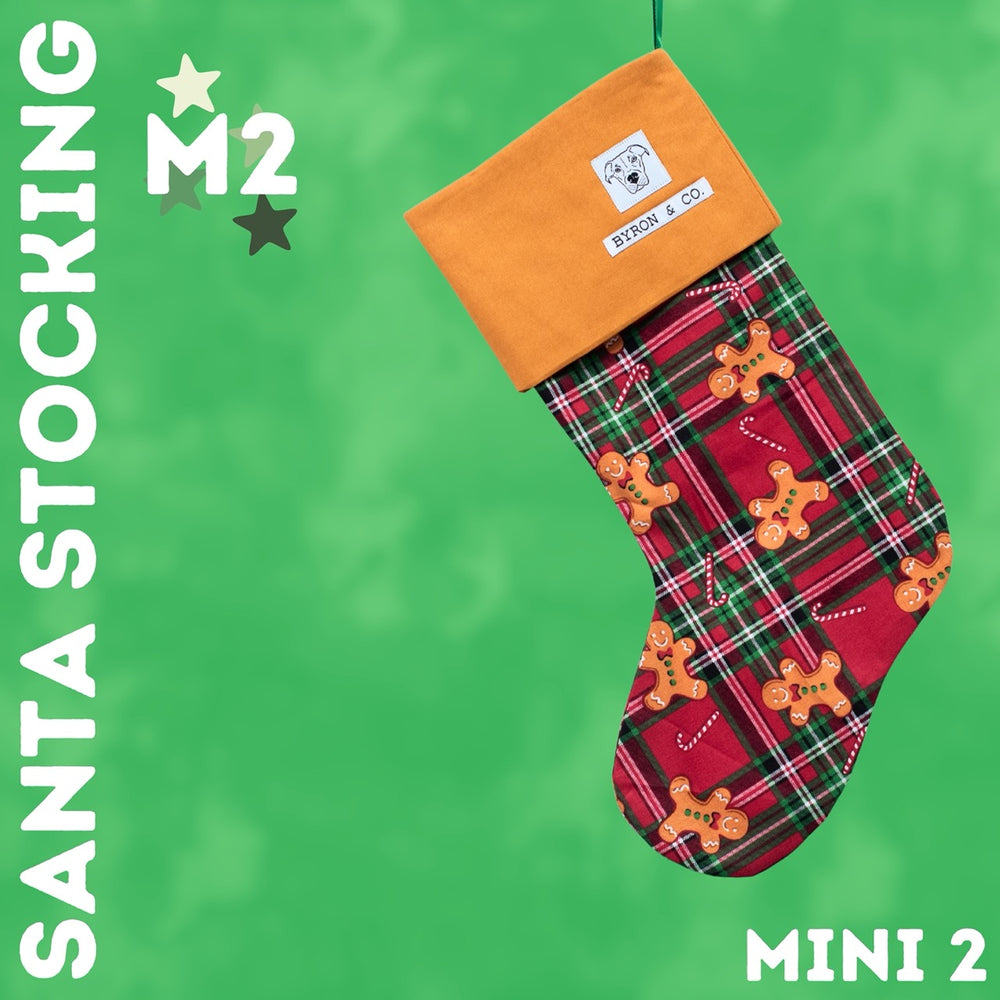 
                  
                    Byron & Co Santa Stockings
                  
                