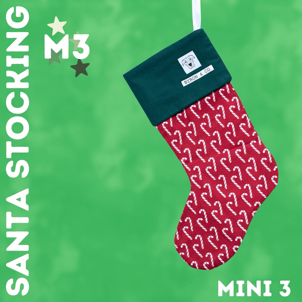 
                  
                    Byron & Co Santa Stockings
                  
                