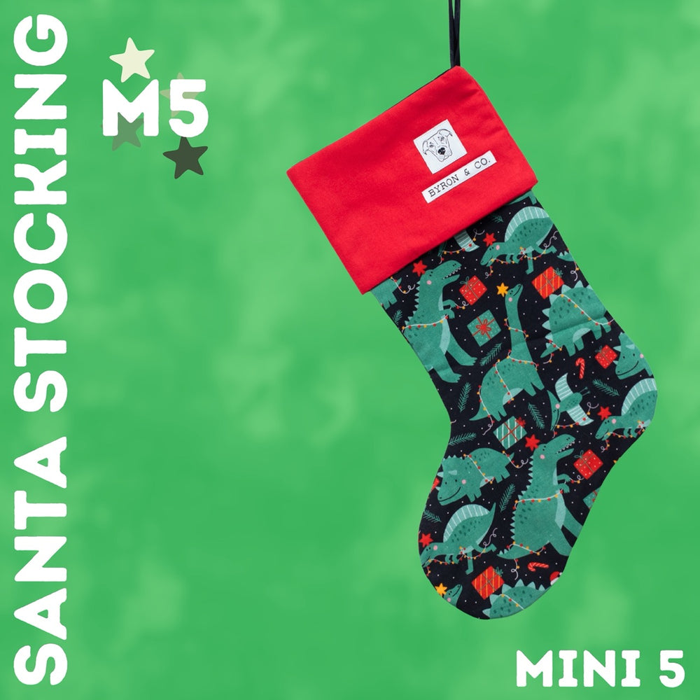 
                  
                    Byron & Co Santa Stockings
                  
                