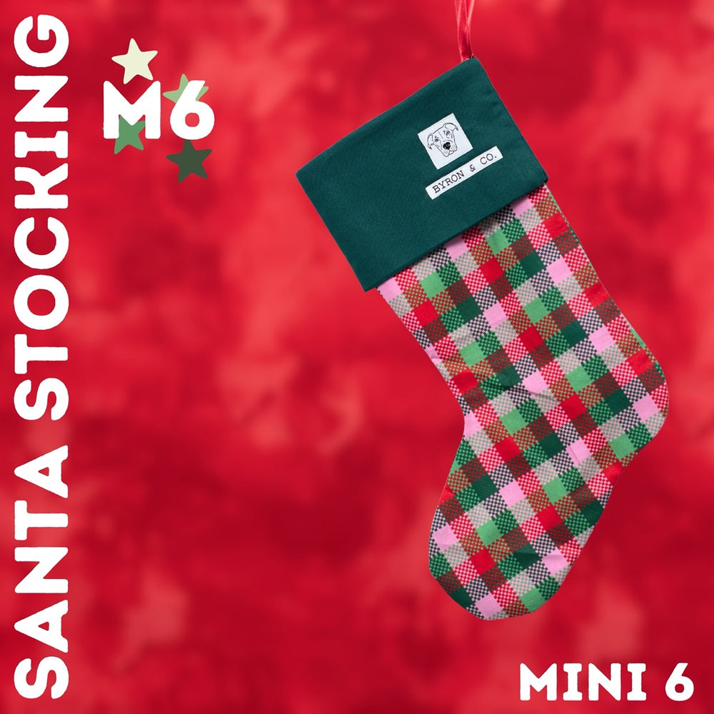 
                  
                    Byron & Co Santa Stockings
                  
                