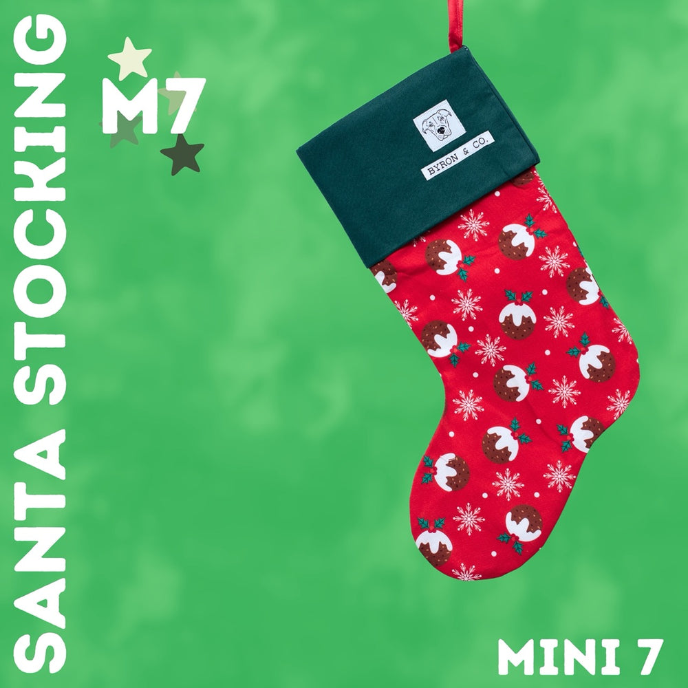 
                  
                    Byron & Co Santa Stockings
                  
                