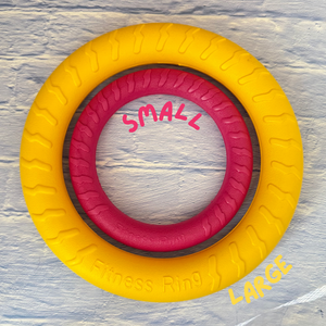
                  
                    Foam Ring Dog Toy
                  
                