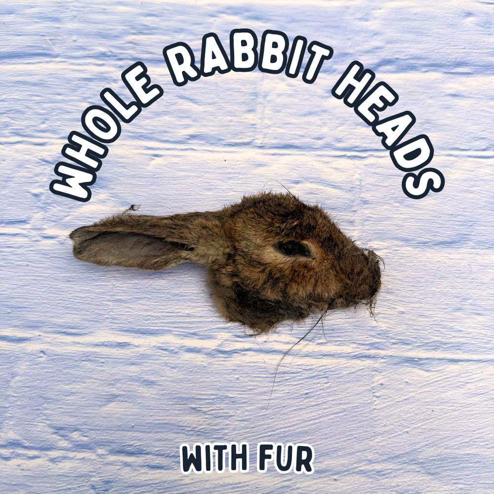 Whole Rabbit Head For Dogs | Dog Treat Chew | Dehydrated Whole Head