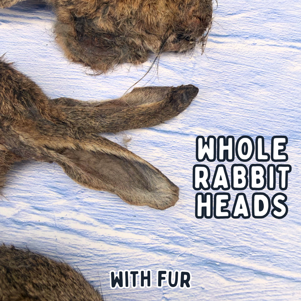 Whole Rabbit Head For Dogs | Dog Treat Chew | Dehydrated Whole Head
