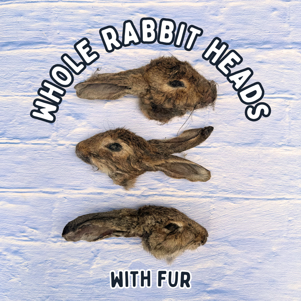 Whole Rabbit Head For Dogs | Dog Treat Chew | Dehydrated Whole Head