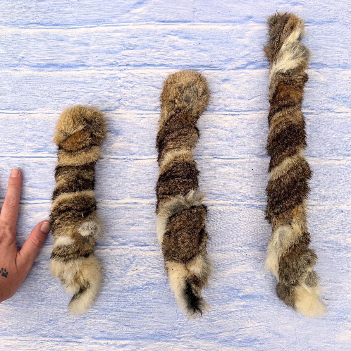 Rabbit Skin Twist with Fur | Dog Treat Chew | Rabbit Fur Skin Twist