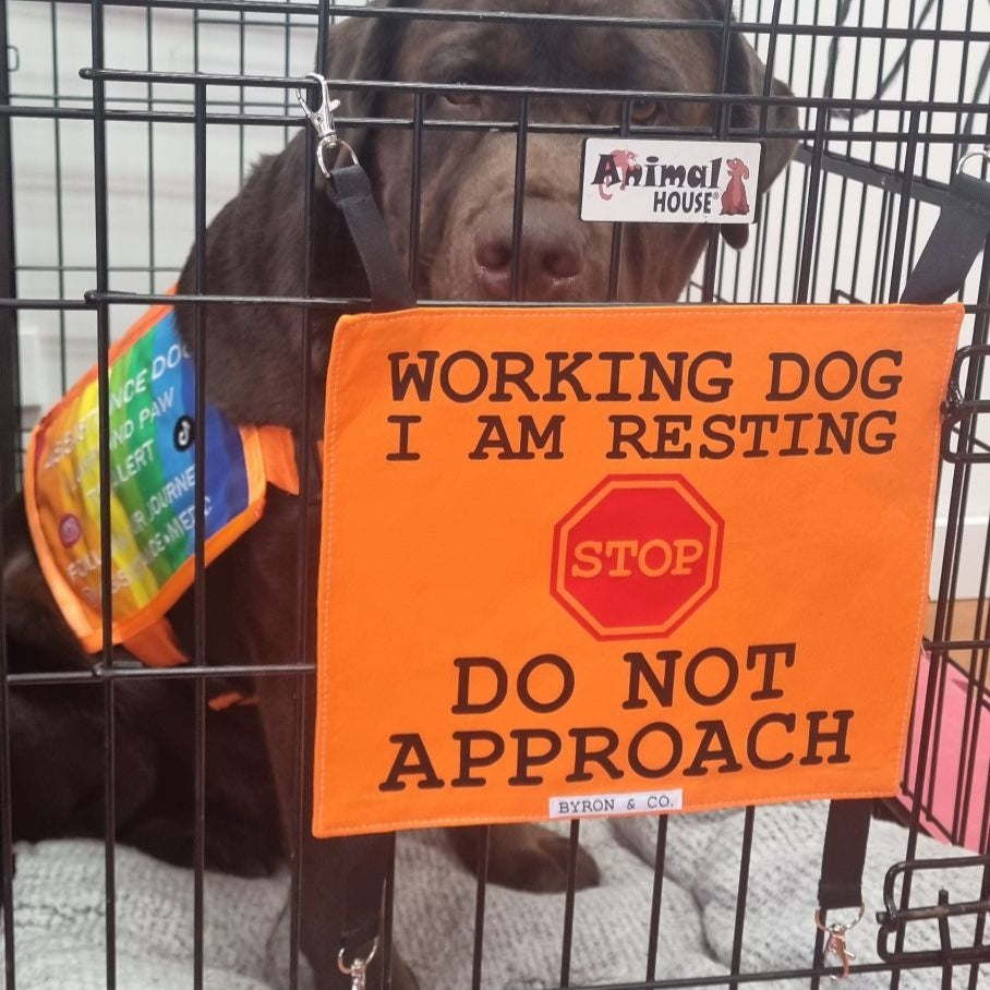 
                  
                    Dog Crate Sign
                  
                