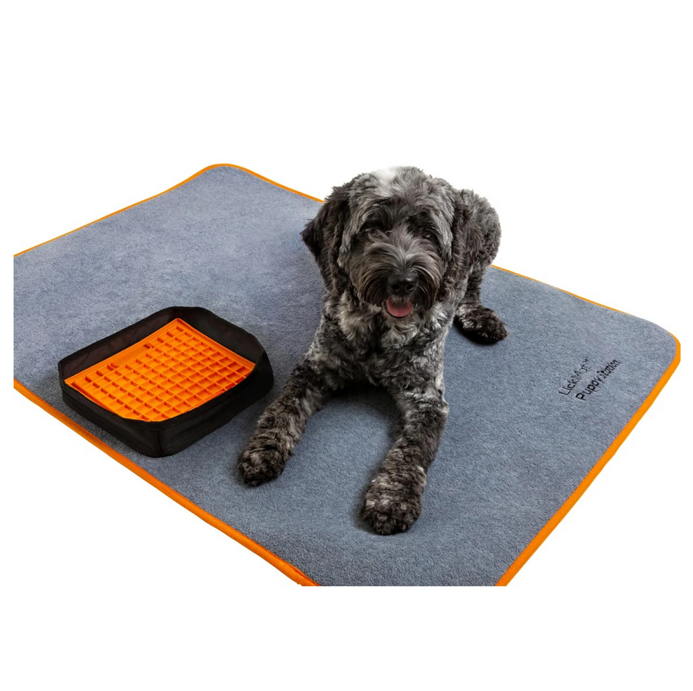LickiMat Training Station Place Training Mat