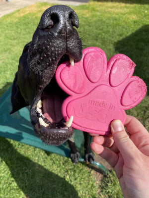 
                  
                    Nylon Paw Chew Toy
                  
                