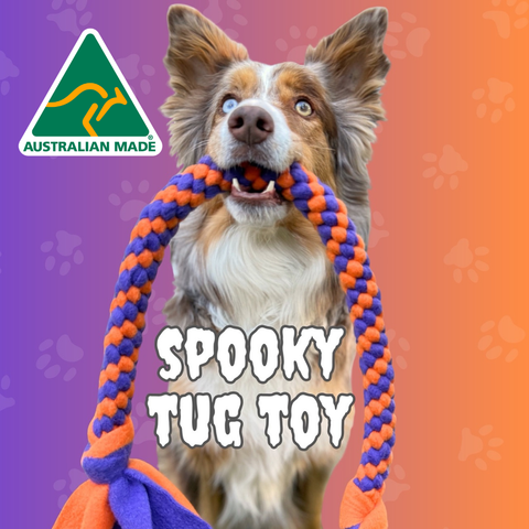 Dog playing with a Spooky Tug Toy against a colorful background with 'Australian Made' logo.