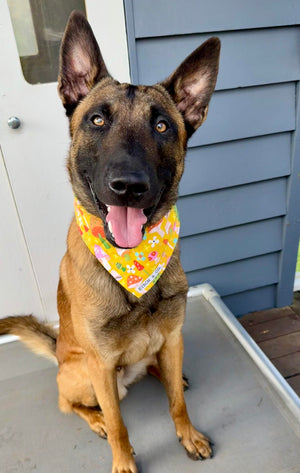 
                  
                    Magic Garden Bandana
                  
                