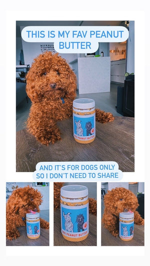 
                  
                    Dog Peanut Butter
                  
                