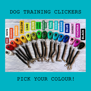 
                  
                    Dog Training Clicker
                  
                