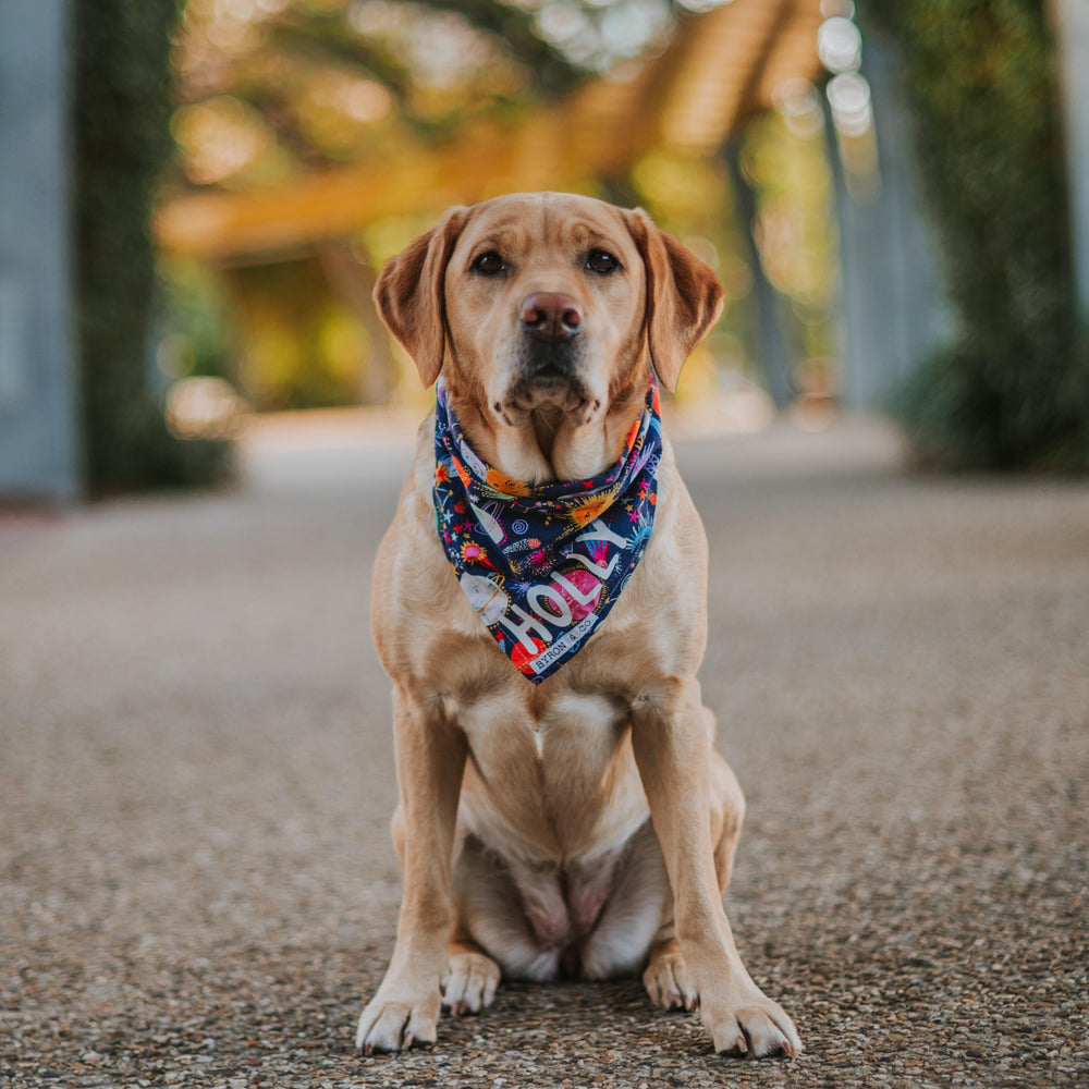 Cosmos Bandana