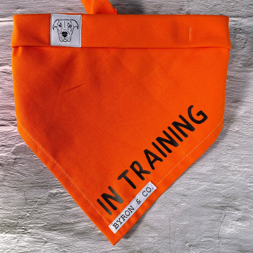 
                  
                    Orange In Training Awareness Bandana
                  
                