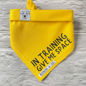 
                  
                    Yellow In Training Give Me Space Awareness Bandana
                  
                