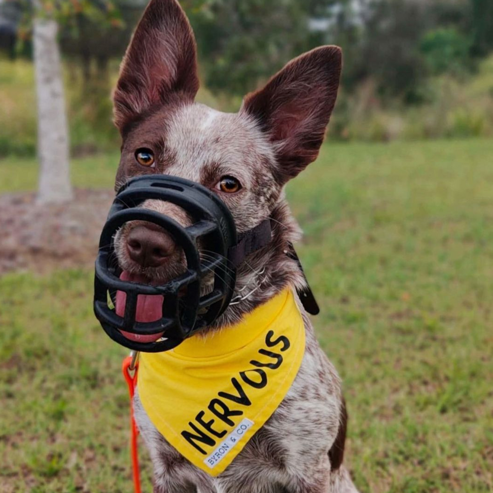 Yellow Nervous Awareness Bandana